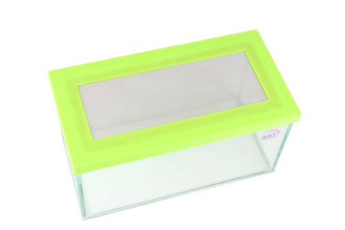 ARENA 20*10*10- POKRYWA Z SIATKĄ , ramka zielone jabłuszko