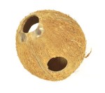 Coconut shell not brushed