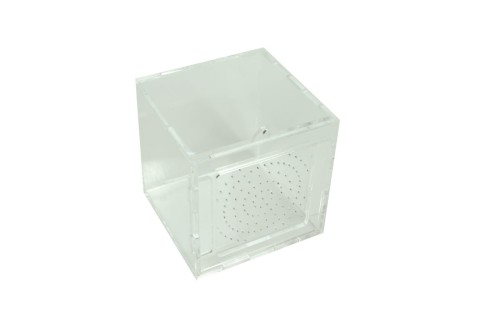 Terrarium do hodowli pająków 10x10x10