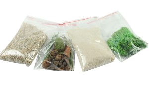 Decorative set for the formicarium