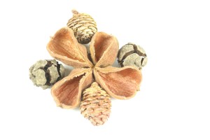 Drought - a decorative set of 5 elements