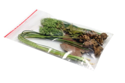 Podstawowe elementy wystroju