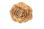 Cedar rose- 1 szt