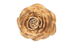 Cedar rose- 1 szt