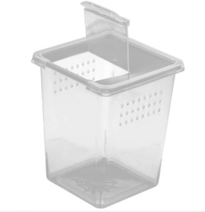 Insect Box - plastic terrarium 9x9x11cm