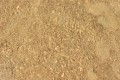 Podłoże tropikalne- Rainforest Substrate- 1 litr