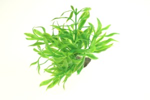 Artificial plant no. 13