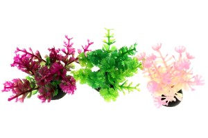 Set of 3 small plants no.3