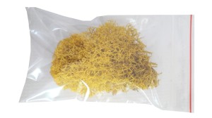 Tufts of moss -  yellow color