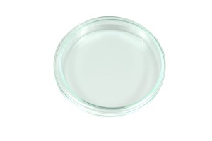 Glass Peri Dish  90 mm / 15 mm