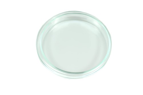 Szalka Petriego szklana średnica 90 mm / wys.15 mm do hodowli mrówek w domu