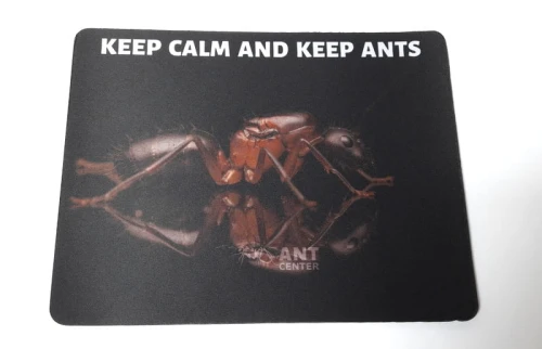 Podkładka pod mysz/ formikarium z napisem "Keep calm and keep ants"