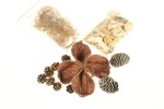 Drought - a decorative set of 12 elements