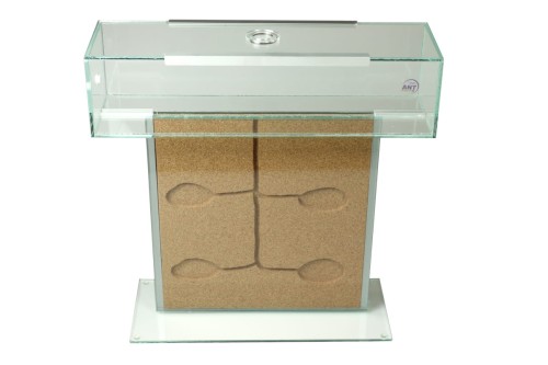 Formikarium korkowe Tower Max  do hodowli mrówek w domu