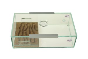 Cork formicarium Compact II