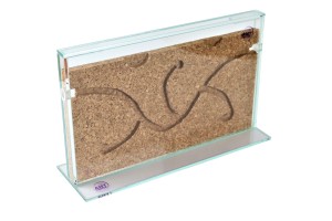  Sandwich ant nest- medium size 26 X 15,5 cm with 1 cm cork nest