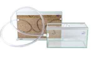 Kit: Sandwich medium size with cork nest plus Arena 20*10*10