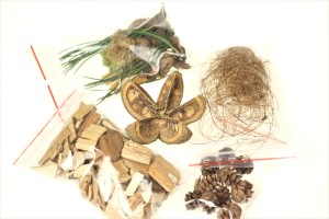 Dried - a decorative set for the formicarium with Kartush