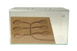 Formicarium Brand Max