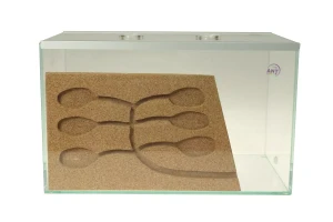 Formicarium Brand Max