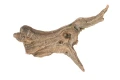 Ozdoba do formikarium nr 58- driftwood