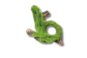 Terrarium decoration no. 56 - small root with moss