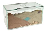 Formicarium Brand- soil version with soil filling