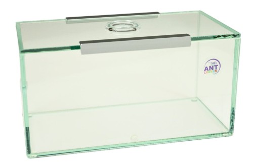 Arena szklana do hodowli mrówek w domu