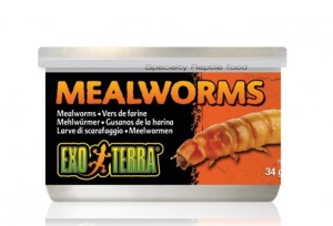 Canned food - mealworms, 34g