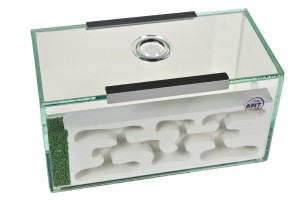 Plaster formicarium  LUBI