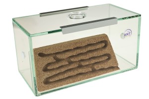 Cork formicarium "Brand"