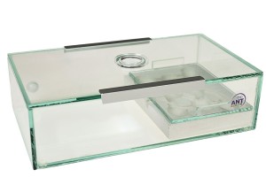 Plaster formicarium Compact