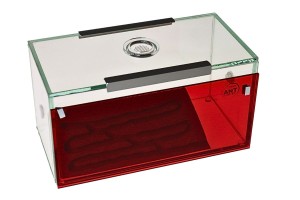 Cork formikarium "Brand" with red protective cover