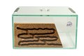 Formikarium do hodowli mrówek w domu Brand Next Step