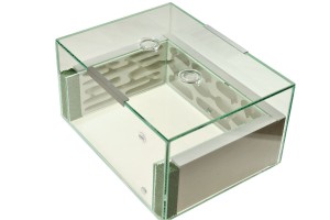 Plaster formicarium Amphitheater LFG- with fi28 holes