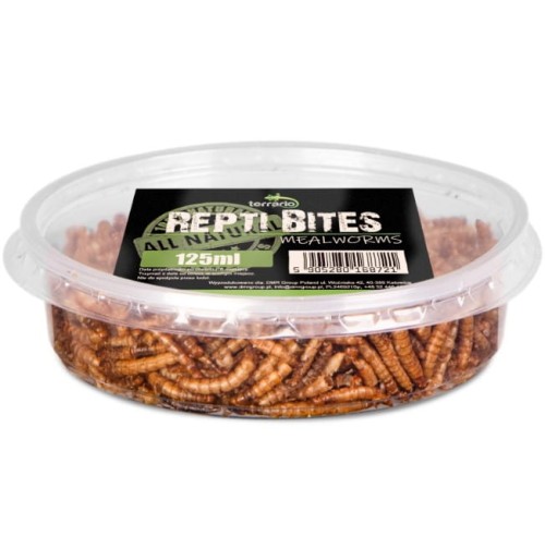 Larwy mącznika młynarka 125 ml (Mealworms)