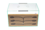 Formicarium King Cork