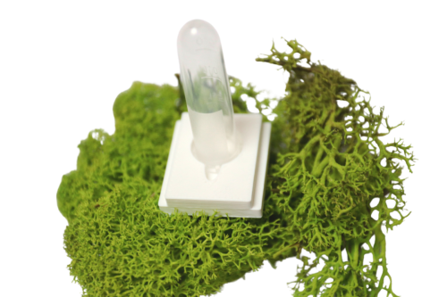 Poidełko dla mrówek