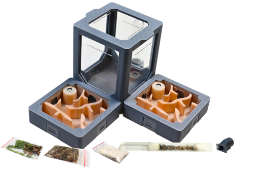 Zestaw nr 5 z mrówakmi- terrarium do hodowli mrówek