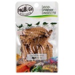 Sterilized Fresh Superworm Larvae 20g- Protein-Rich Larvae for Ants