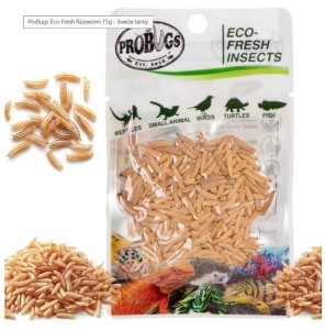 Sterilized Fresh Riceworm 15g 