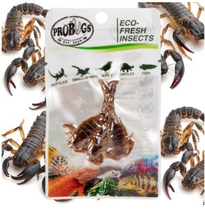 Sterilized fresh scorpions – 3 pcs pack