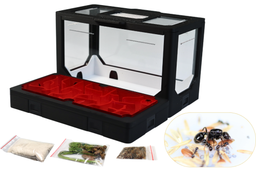 Zestaw nr 2 blackAnt z mrówkami od AntCenter