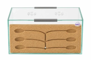 Formicarium King Cork