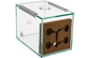 Formicarium Dream 15 *10*10