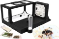 Zestaw z mrówkami BlackAnt nr 15 od AntCenter