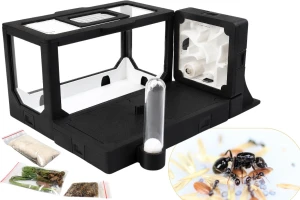 Modular BlackAnt – Set No. 15 with Messor barbarus Colony (size selectable)