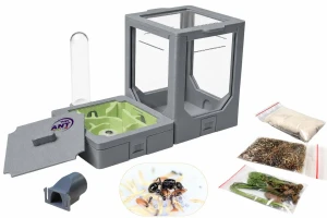 Modular AntLove – Set No. 1 with Ants