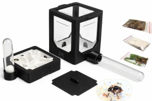 Ant-Keeping Set 1 BlackAnt with Ants – Messor barbarus