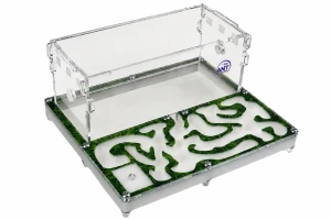 Formicarium Green House  II , red cover to be chosen